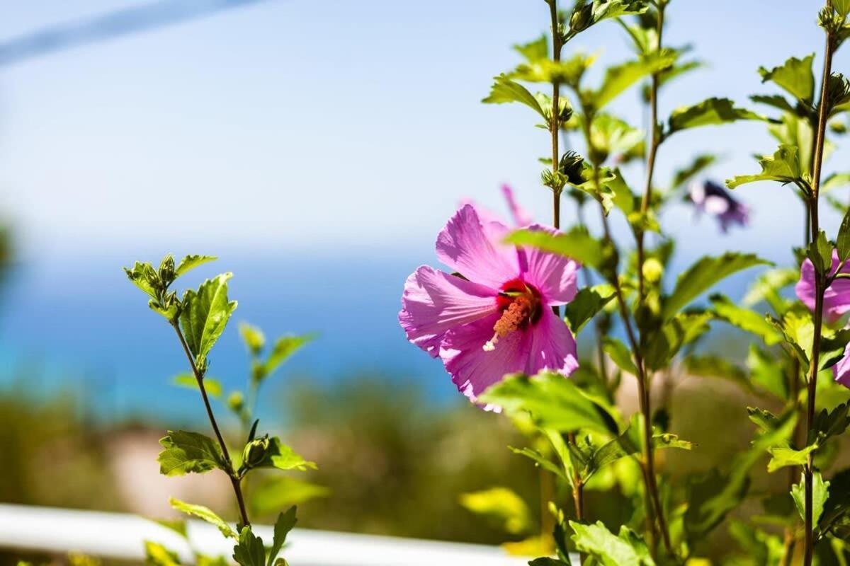 Aigli Summer Getaway - Seaview Lux Retreat Verga Kalamata Eksteriør bilde